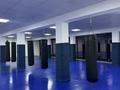 Фитнес и спорт · 250 м² за 5 000 ₸ в Шымкенте, Туран р-н — фото 3