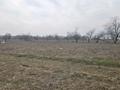 Участок · 2.4 га, Коккайнар за 80 млн ₸ — фото 10