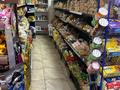 Продуктовый мини-маркет · 120 м² за 95 млн ₸ в Усть-Каменогорске — фото 12
