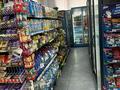 Продуктовый мини-маркет · 120 м² за 95 млн ₸ в Усть-Каменогорске — фото 17