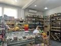 Продуктовый мини-маркет · 120 м² за 95 млн ₸ в Усть-Каменогорске — фото 3