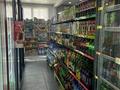 Продуктовый мини-маркет · 120 м² за 95 млн ₸ в Усть-Каменогорске — фото 7