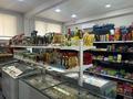 Продуктовый мини-маркет · 120 м² за 95 млн ₸ в Усть-Каменогорске — фото 8