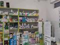 Магазины и бутики • 60 м² за 43 млн 〒 в Шымкенте, Аль-Фарабийский р-н — фото 10