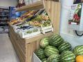 Бизнес овощной и рыбный магазин. · 95 м² за 25 млн ₸ в Астане, Есильский р-н — фото 4