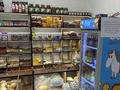 Бизнес овощной и рыбный магазин. · 95 м² за 25 млн ₸ в Астане, Есильский р-н — фото 7