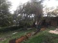 Дача · 1 комната · 87 м² · 9 сот., Кок-Лай-Сай 113/10 за 7 млн ₸ в Алматинской обл. — фото 5