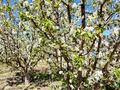 Отдельный дом · 3 комнаты · 140 м² · 13.2 сот., Махамбет, с. Сарытоғай 20 за 12.5 млн ₸ в Атырау — фото 22