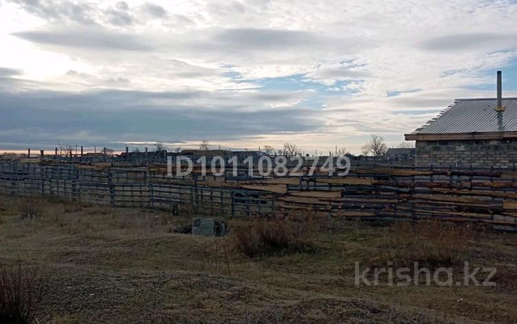 Участок · 25 соток, Рязановка 31 за 4.5 млн ₸ в Майколе — фото 2
