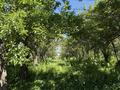 Жер телімі · 3.15 га, С.о. Алатауский, бағасы: 79 млн ₸ в Алматинской обл., Талгарский р-н — фото 10