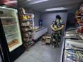 Продуктовый магазин · 85 м² за 17.5 млн ₸ в Астане — фото 8