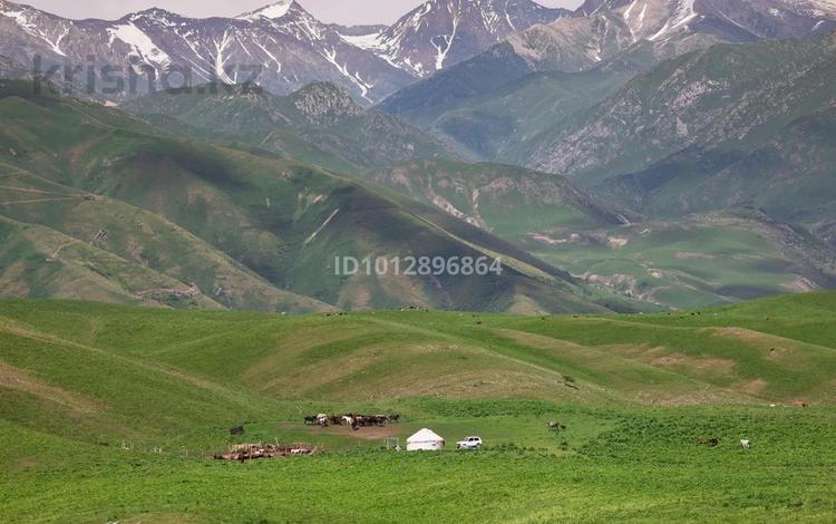 Участок · 750 га, Тюлькубас за 150 млн ₸ — фото 2