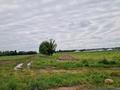 Участок · 50 соток, Ташкентской трассы за 130 млн ₸ в Каскелене — фото 21