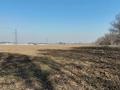 Участок · 50 соток, Ташкентской трассы за 130 млн ₸ в Каскелене — фото 6