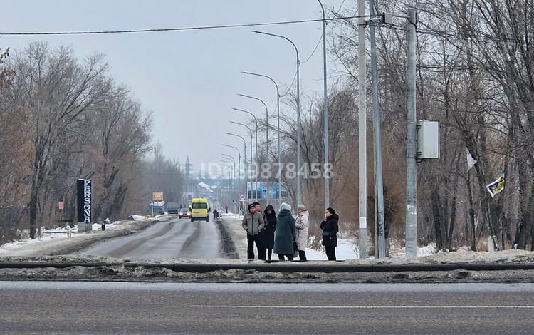Участок 50 соток, Ташкентской трассы за 55 млн 〒 в Каскелене — фото 4