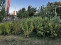 Жеке үй · 4 бөлме · 75 м² · 15 жүзд., Хан тағы, 40 кепе Достық көшесі 160 — Мешіттің қасында орналасқан үй, бағасы: 11 млн ₸ в Кентау — фото 43
