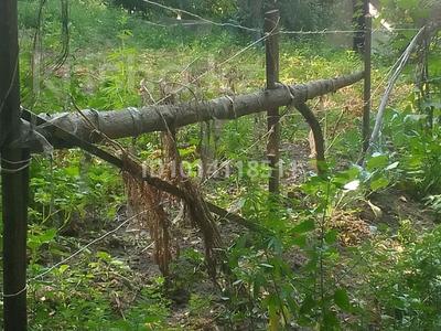 Жеке үй · 4 бөлме · 100 м² · 8 жүзд., Отау 1 — Туякбаева, бағасы: 35 млн ₸ в Талгаре