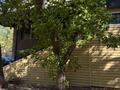 Свободное назначение · 36.9 м² за 18 млн ₸ в Караганде, Казыбек би р-н — фото 10