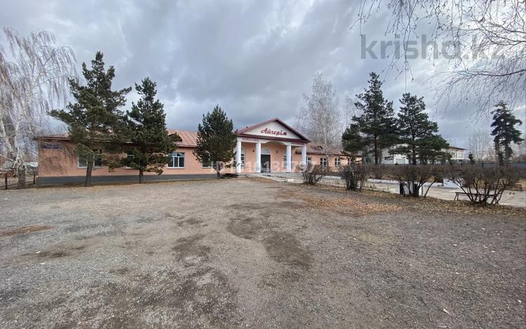 Развлечения · 1100 м² за 78 млн ₸ в Макинске — фото 2