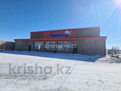 Развлечения · 500 м² за 100 млн ₸ в Баянауле
