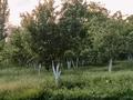 Жеке үй · 6 бөлме · 160 м² · 25 жүзд., ул. Шалбая Мырзалиева, бағасы: 30 млн ₸ в Туркестанской обл. — фото 3