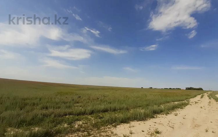 Жер телімі · 25.1 га, Кольащы, бағасы: ~ 20.4 млн 〒 — фото 2