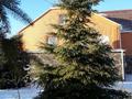 Отдельный дом · 5 комнат · 408 м² · 15 сот., Мусина за 110 млн ₸ в 