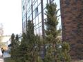 2-комнатная квартира · 57 м² · 6/9 этаж, ул. Ауельбекова 45 за 32 млн ₸ в Кокшетау — фото 8