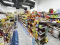 Готовый бизнес продуктовый магазин · 120 м², бағасы: 23.5 млн ₸ в Астане, Нура р-н — фото 17