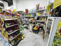 Готовый бизнес продуктовый магазин · 120 м², бағасы: 23.5 млн ₸ в Астане, Нура р-н — фото 18