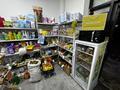 Готовый бизнес продуктовый магазин · 120 м², бағасы: 23.5 млн ₸ в Астане, Нура р-н — фото 3