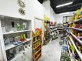 Готовый бизнес продуктовый магазин · 120 м², бағасы: 23.5 млн ₸ в Астане, Нура р-н — фото 6