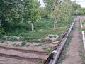 Дача · 3 комнаты · 36 м² · 10 сот., Первая водоколонка за 6 млн ₸ в Балхаше — фото 30