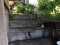 Дача · 3 комнаты · 72 м² · 10 сот., С/о березки 240 за 7 млн ₸ в Усть-Каменогорске, Ново-Троицкое — фото 3