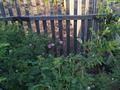 Жеке үй · 2 бөлме · 55 м² · 8 жүзд., Алаш 197 — Приемник, бағасы: 4.9 млн ₸ в Щучинске — фото 4