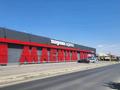 Отдельный дом · 8 комнат · 200 м² · 8 сот., мкр Самал-1, Еркиндиык 721 — Магнум за 70 млн ₸ в Шымкенте, Абайский р-н — фото 9