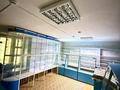 Магазины и бутики · 53.5 м² за 15.5 млн ₸ в Щучинске — фото 2