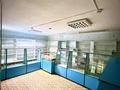 Магазины и бутики · 53.5 м² за 15.5 млн ₸ в Щучинске — фото 3