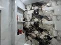 3-бөлмелі пәтер · 90 м² · 3/9 қабат, Алтын орда ш/а., Тауелсиздик, бағасы: 40 млн ₸ в Актобе, мкр. Алтын орда — фото 12