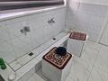 Жеке үй · 12 бөлме · 373 м² · 8 жүзд., Тияньшан 41/42, бағасы: 135 млн ₸ в Боралдае (Бурундай), мкр Водник-1 — фото 16