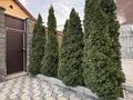 Отдельный дом · 5 комнат · 350 м² · 10 сот., Роза Жоманова 196 за 290 млн ₸ в Алматы, Бостандыкский р-н — фото 33