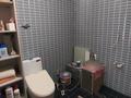 Отдельный дом · 5 комнат · 400 м² · 6 сот., мкр Баганашыл, Алмалы 31 — Baganashil hills за 130 млн ₸ в Алматы, Бостандыкский р-н — фото 22