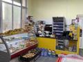 Магазины и бутики · 74 м² за 300 000 ₸ в Туркестане — фото 4