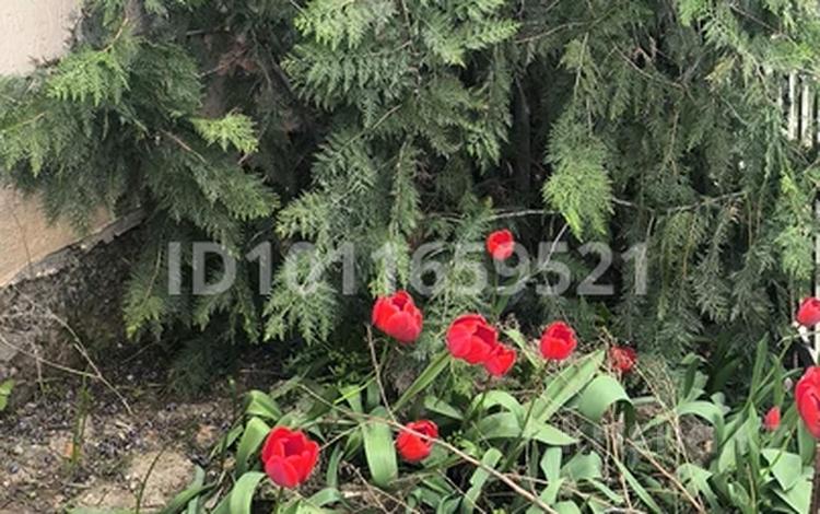 Жеке үй · 2 бөлме · 70 м² · 10 жүзд., мкр Балауса, К.Мусагалиев 1 — Дренаж, бағасы: 18 млн ₸ в Атырау — фото 2