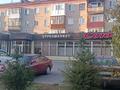 3-комнатная квартира · 57 м² · 2/4 этаж, Акан Серэ — Сагдиева за 17 млн 〒 в Кокшетау — фото 63