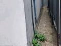 Отдельный дом · 4 комнаты · 80 м² · 8 сот., 4я лодочная дом 35 — 4я лодочная дом 35 за 5 млн ₸ в Семее — фото 3