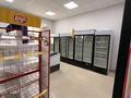 Магазины и бутики · 103 м² за ~ 70 млн ₸ в Астане, Алматы р-н — фото 6