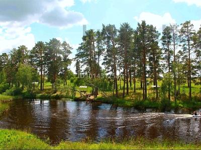 Возьму в аренду дом, Акколь