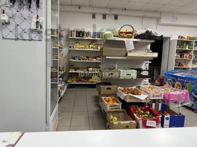 Продуктовый магазин · 80 м², бағасы: 30 млн ₸ в Астане, Сарайшык р-н