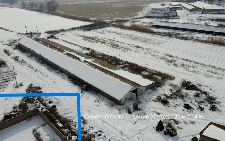 Участок · 14 га, Кошелекова 115 за 240 млн ₸ в Жайнак (Комсомоле) — фото 2